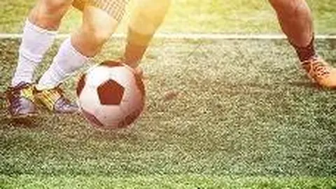 上海首获NBL球队，中国篮球将迈入升降级新纪元？