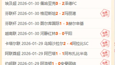 鲁内败北，辛纳澳网晋级复赛轮